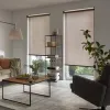 Wohnzimmer Balkontür mit Sichtschutz