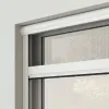 Fliegengitter Rollo