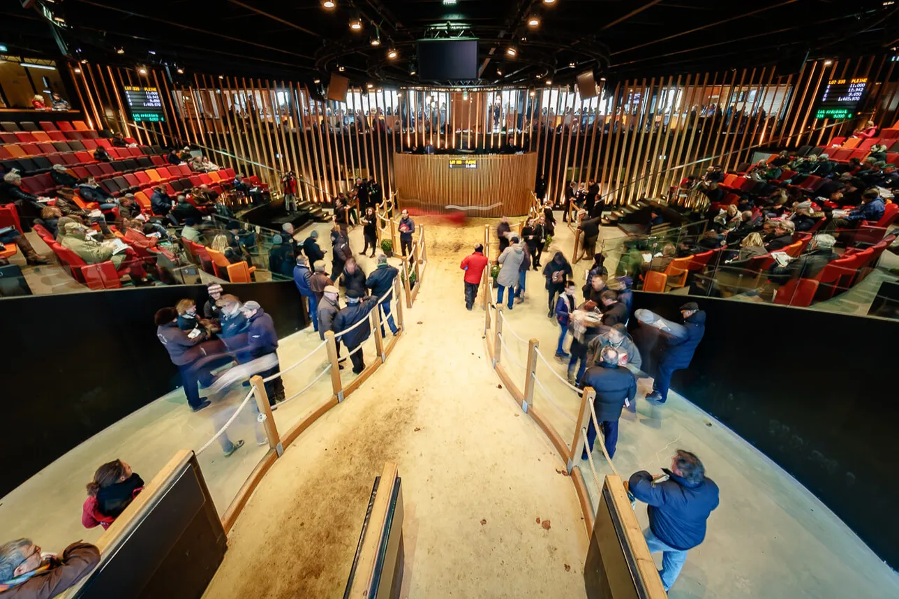 Ventes aux enchères Arqana