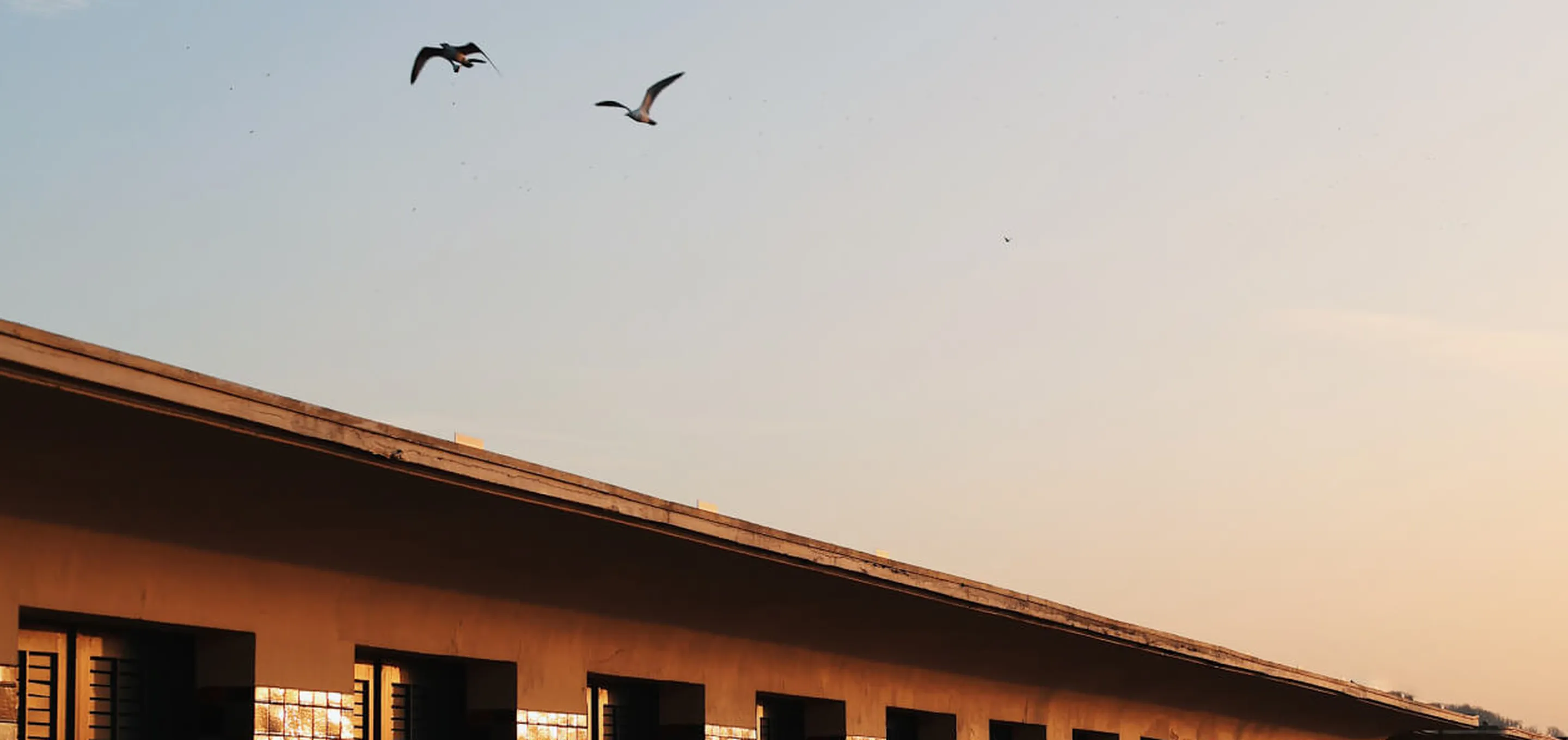 Deauville, Les planches