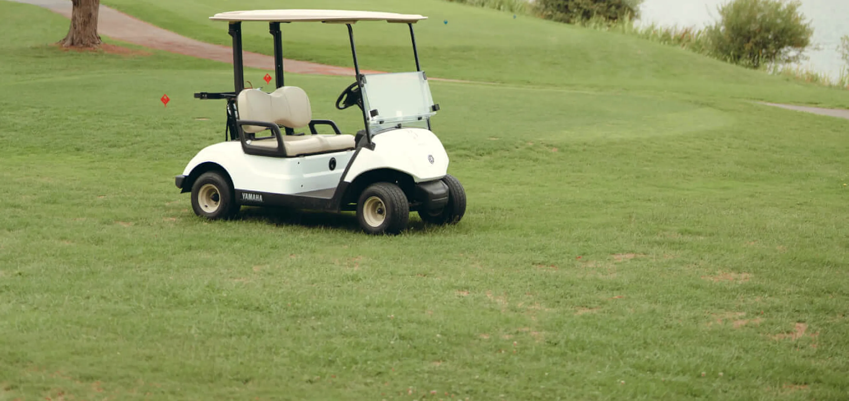 La Baule, Golf voiturette