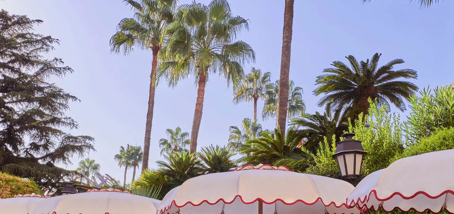 Transats au bord de la piscine du Majestic à Cannes