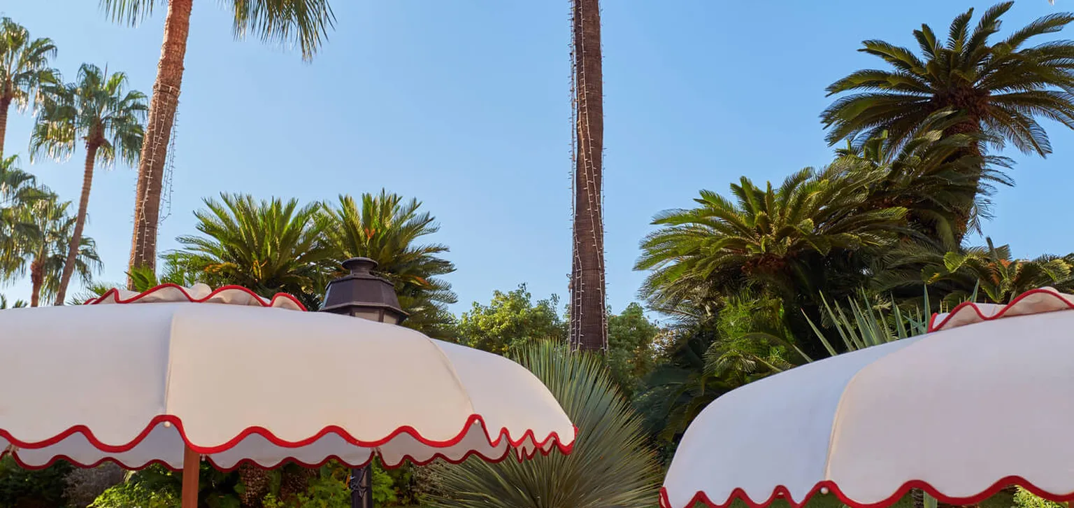 Transats et parasols de la piscine du Majestic à Cannes