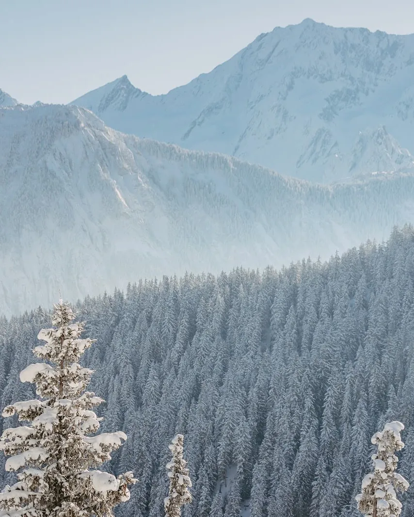 Environnement Courchevel montagnes