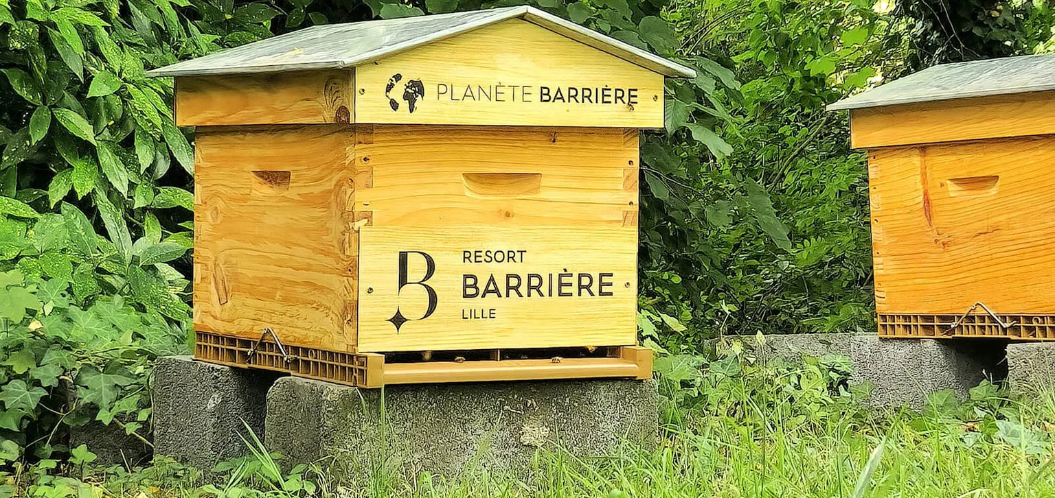 Rûche au Resort Barrière Lille