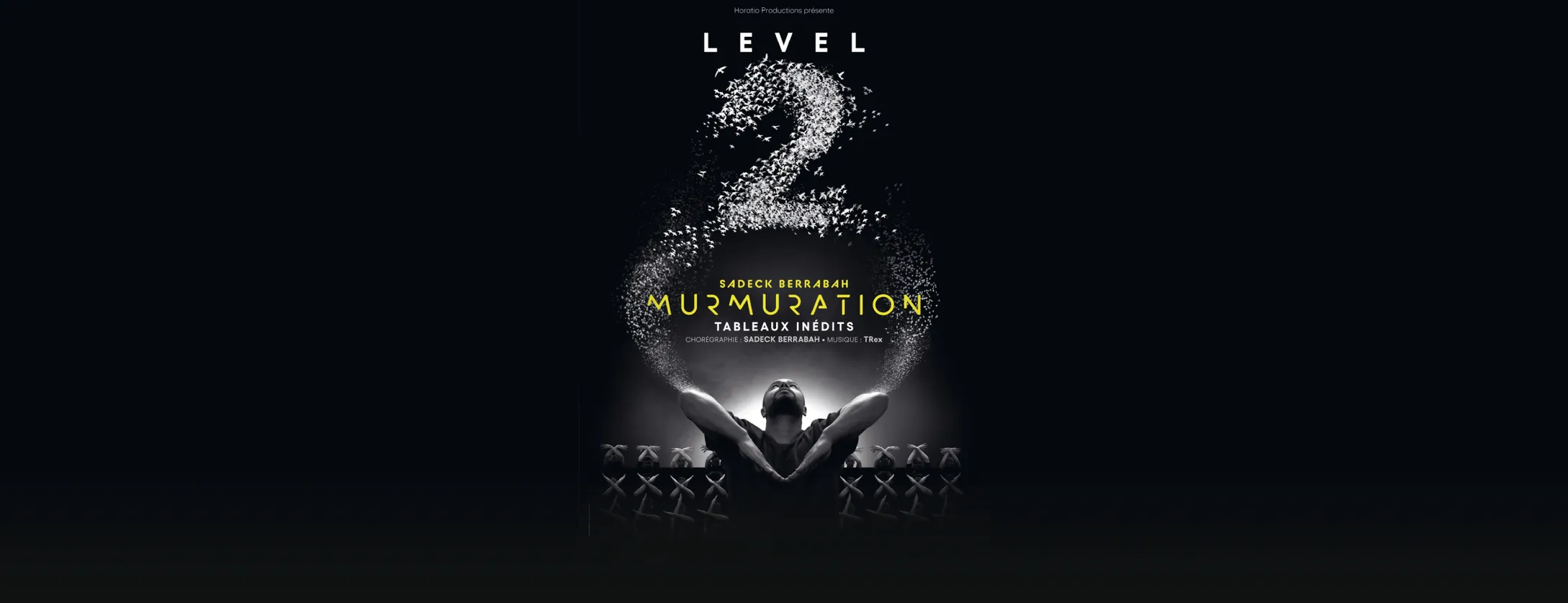 Murmuration Level 2
