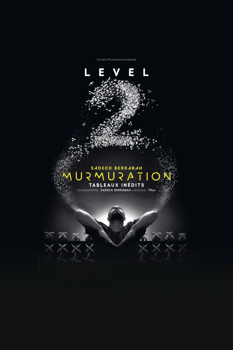 Murmuration Level 2