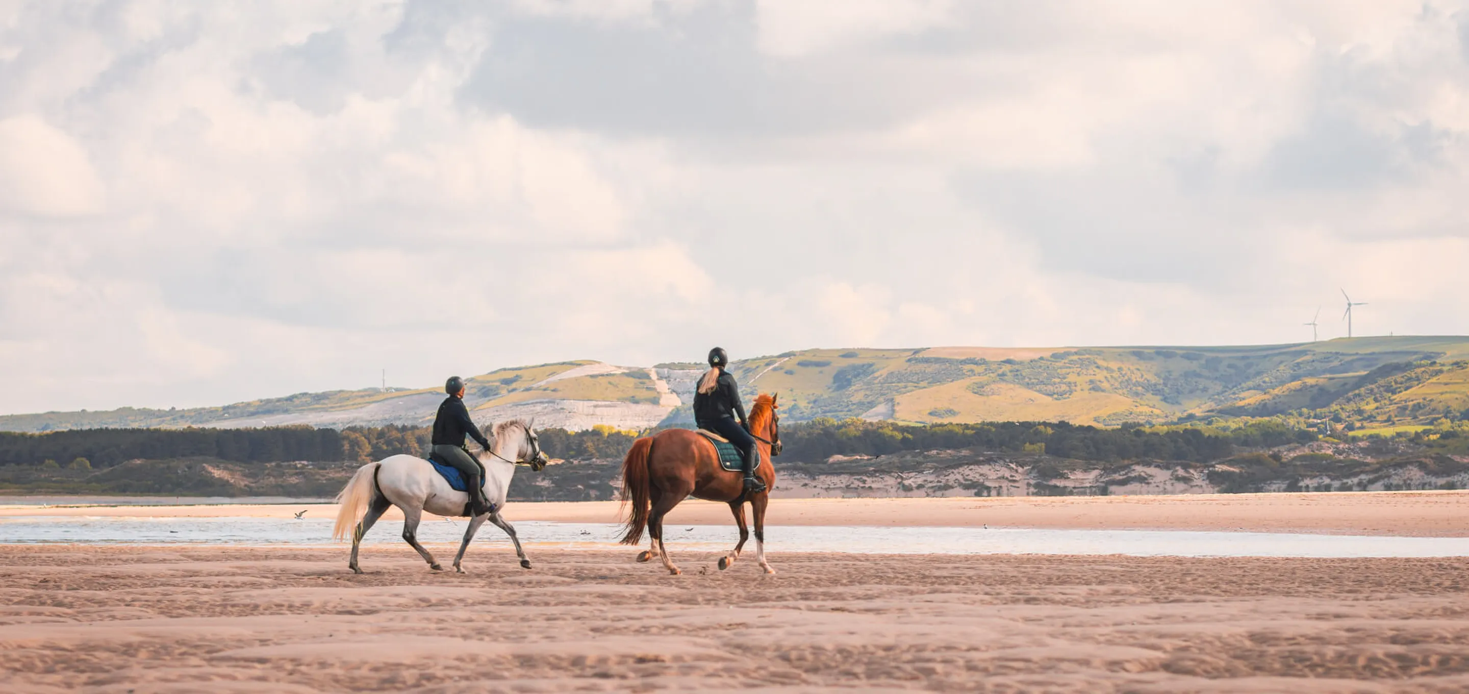Le Touquet, Chevaux sur la plage