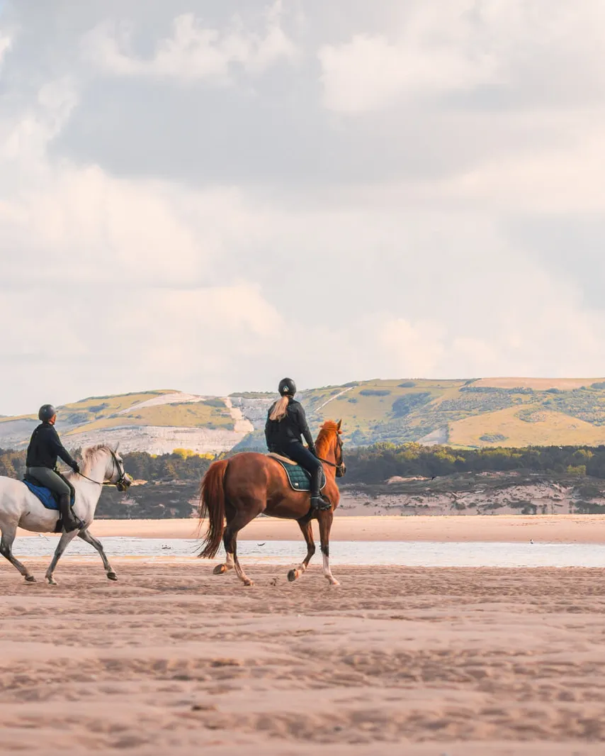 Le Touquet Hippisme