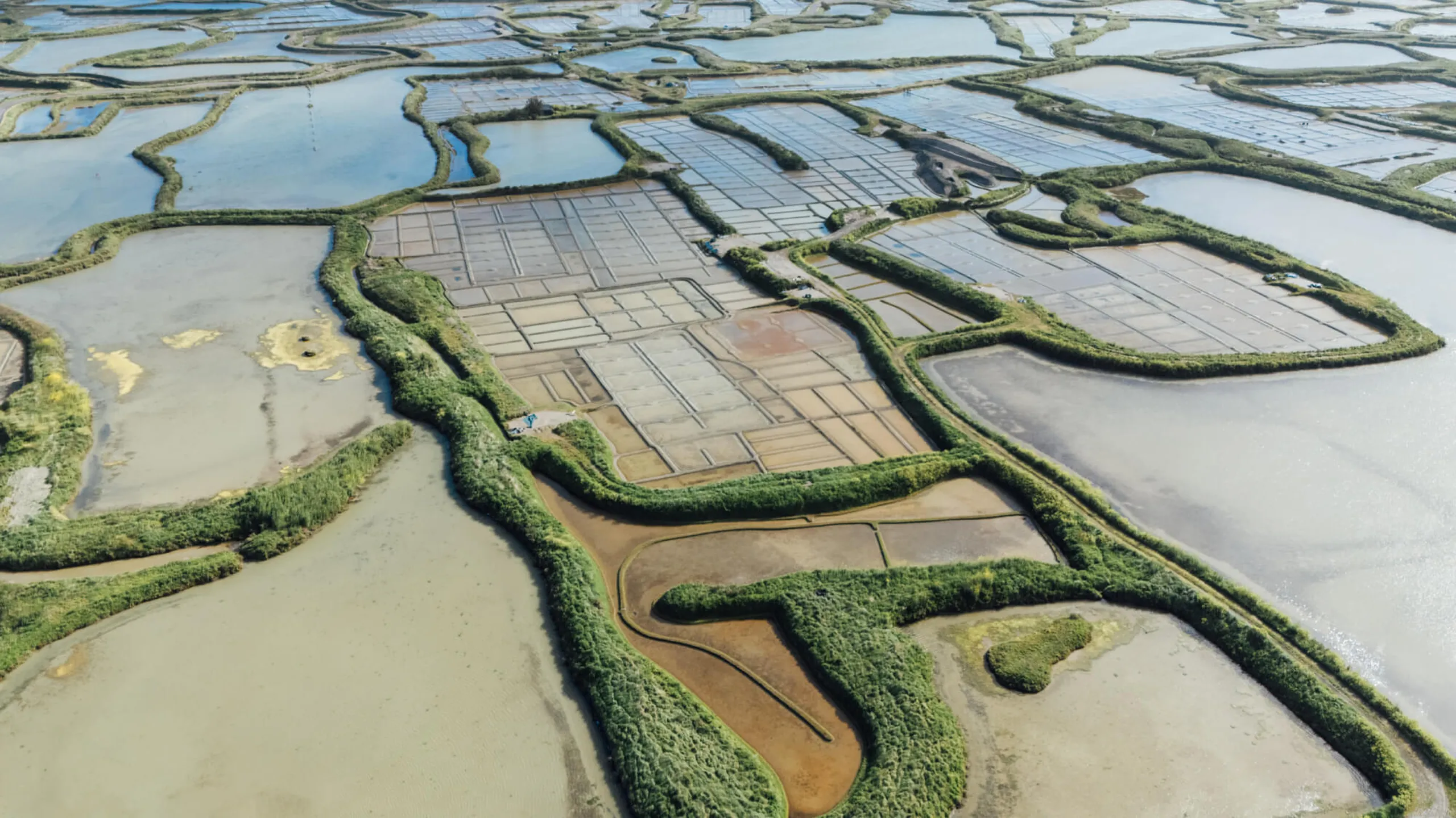Les marais salant à La Baule