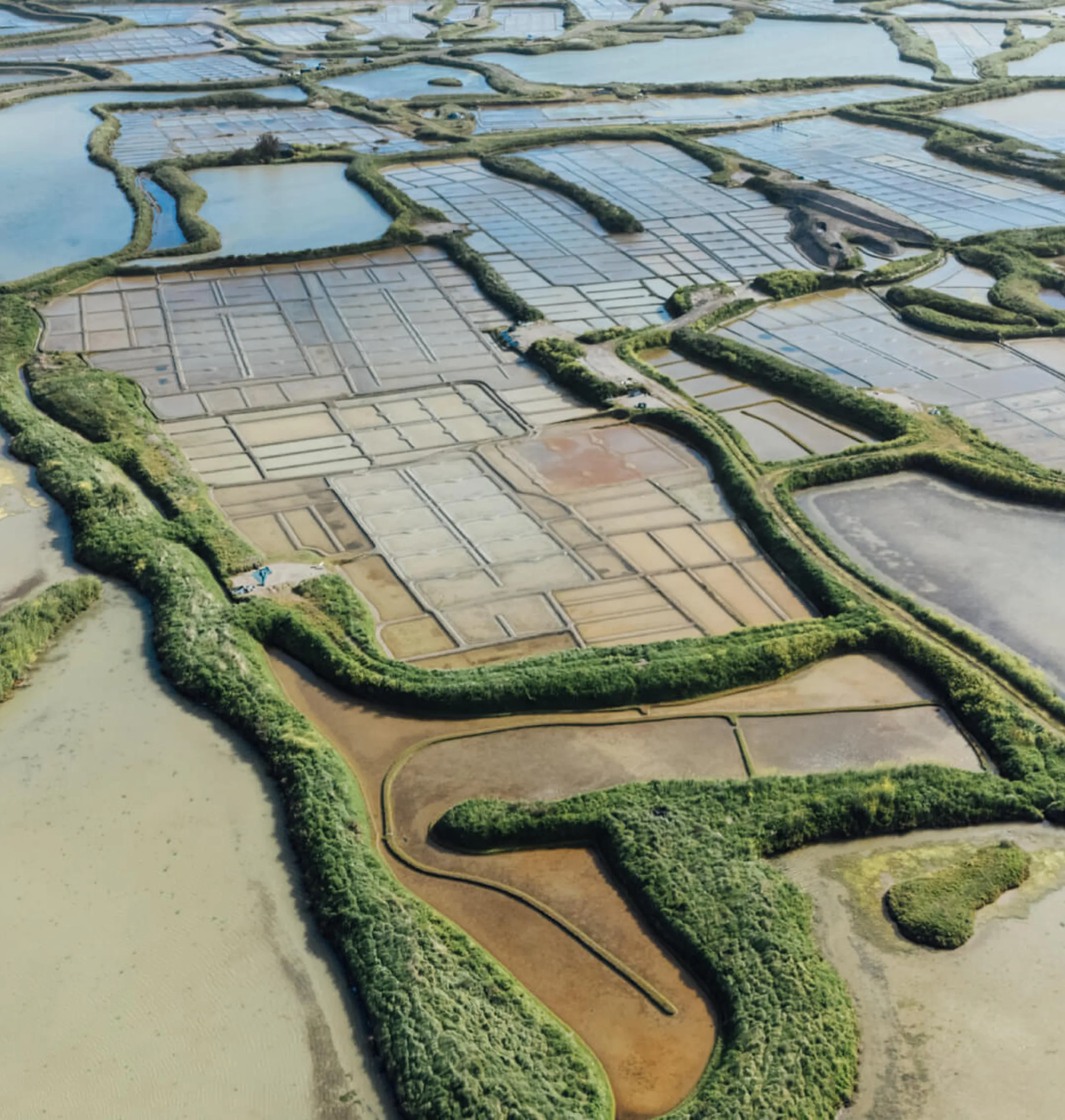 Les marais salant à La Baule