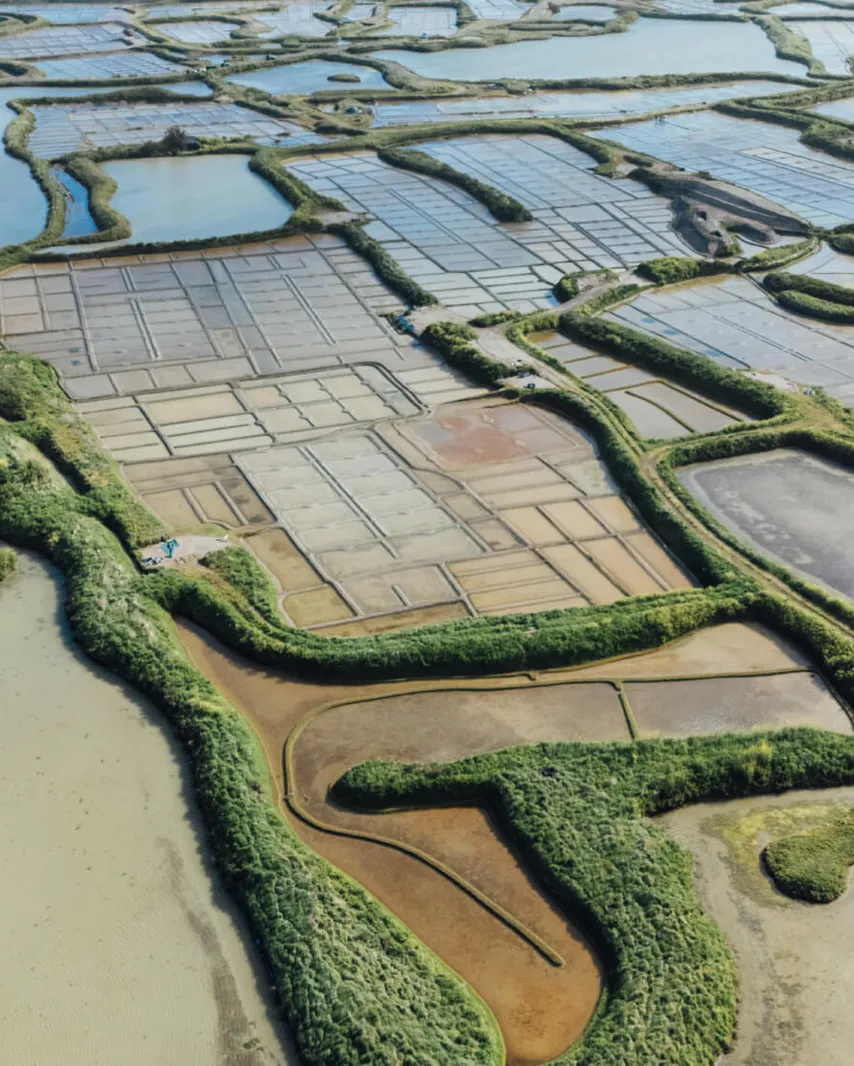 Les marais salant à La Baule