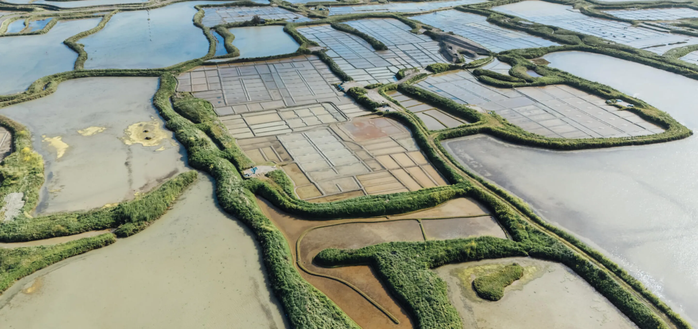 Entre Terre et Sel - La Baule