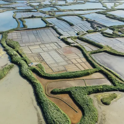 Entre Terre et Sel - La Baule