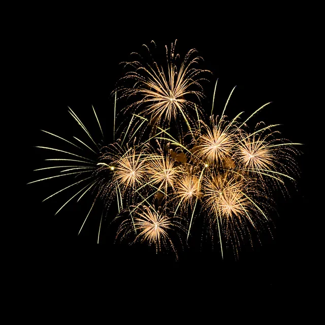 Soirée du 4 Juillet - Immersif