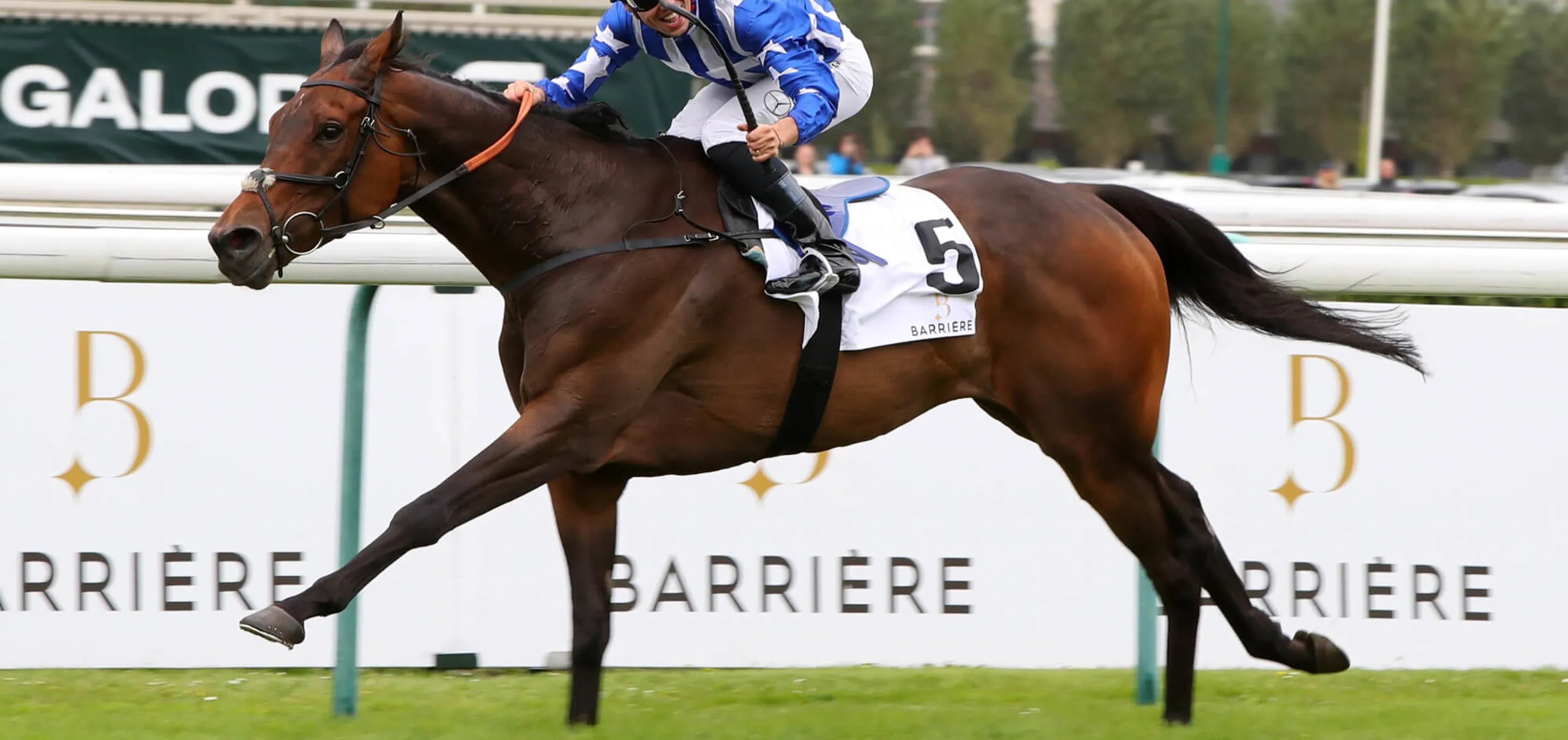 Course de chevaux à Deauville