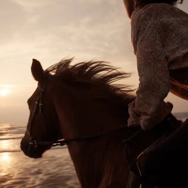 Les Moments Barrière