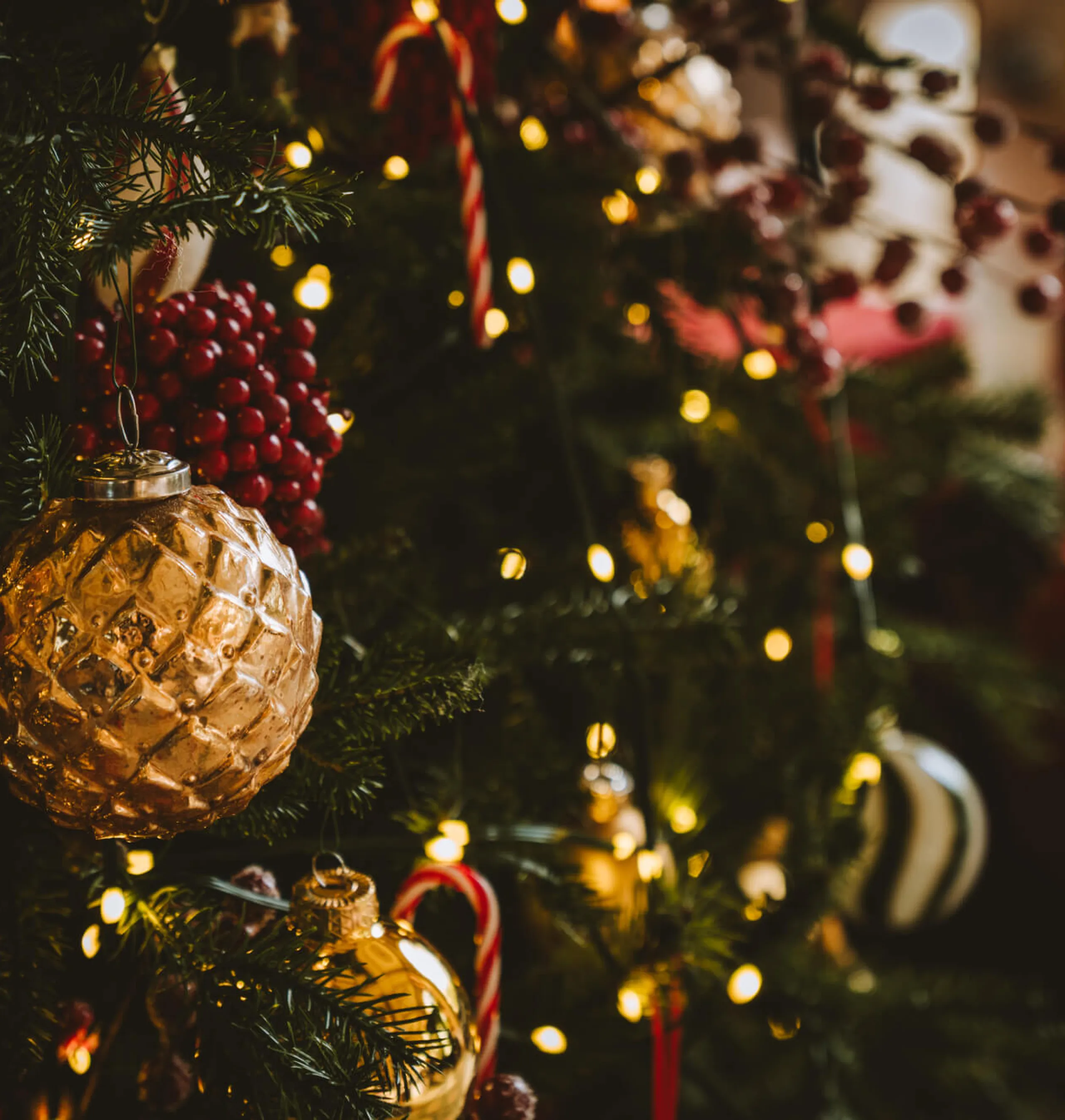 Noël gourmand au Pavillon du Lac