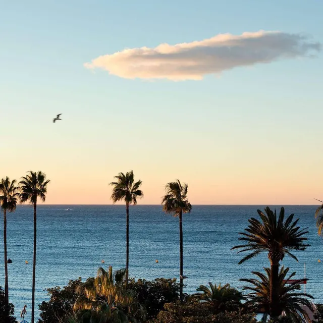 Cannes, côte d'Azur, Hôtels Barrière
