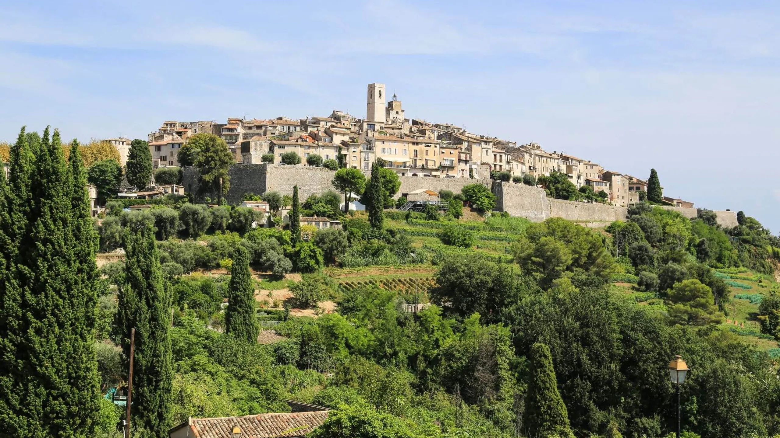 la route de vins aux alentours de Cannes