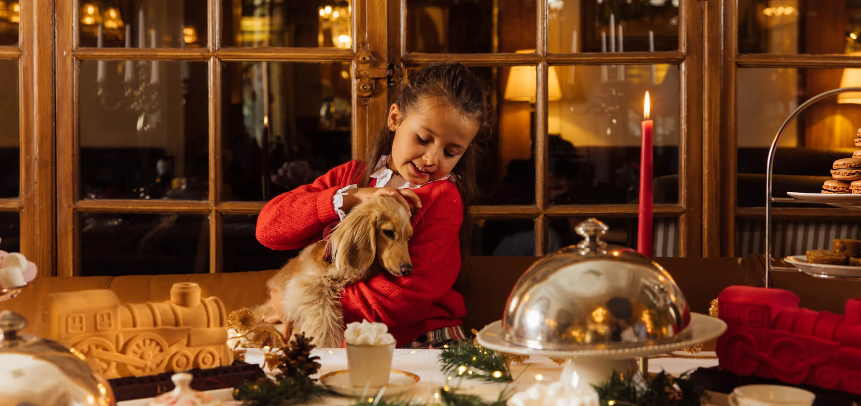 Repas de fêtes, animaux de compagnie