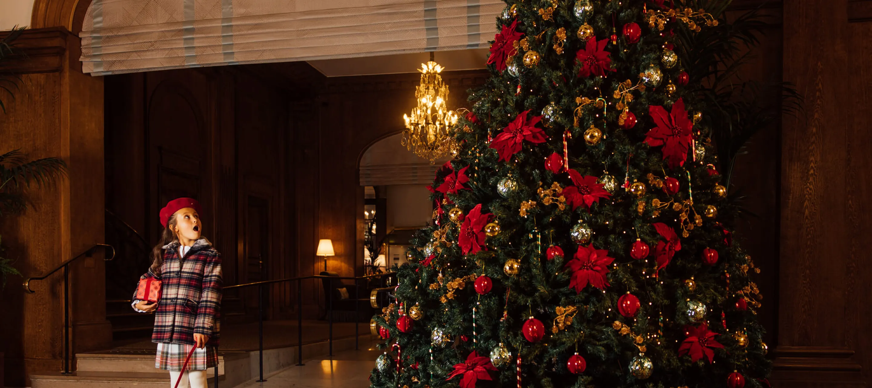 Des Fêtes Enchantées sur la Côte Fleurie