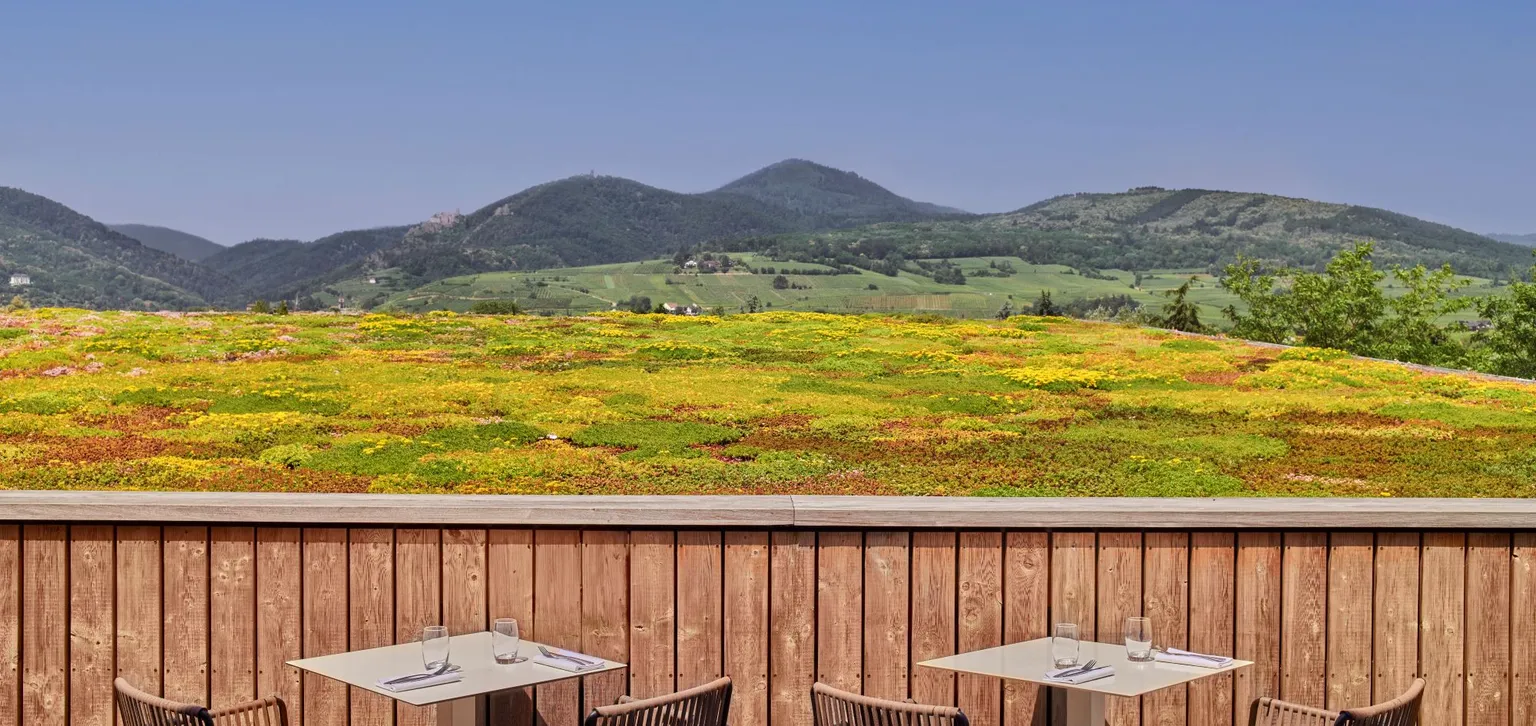 Vue de la terrasse du restaurant Le Belvédère à Ribeauvillé