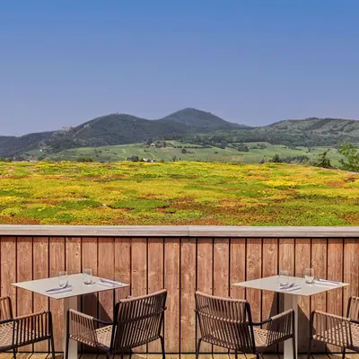 Vue de la terrasse du restaurant Le Belvédère à Ribeauvillé