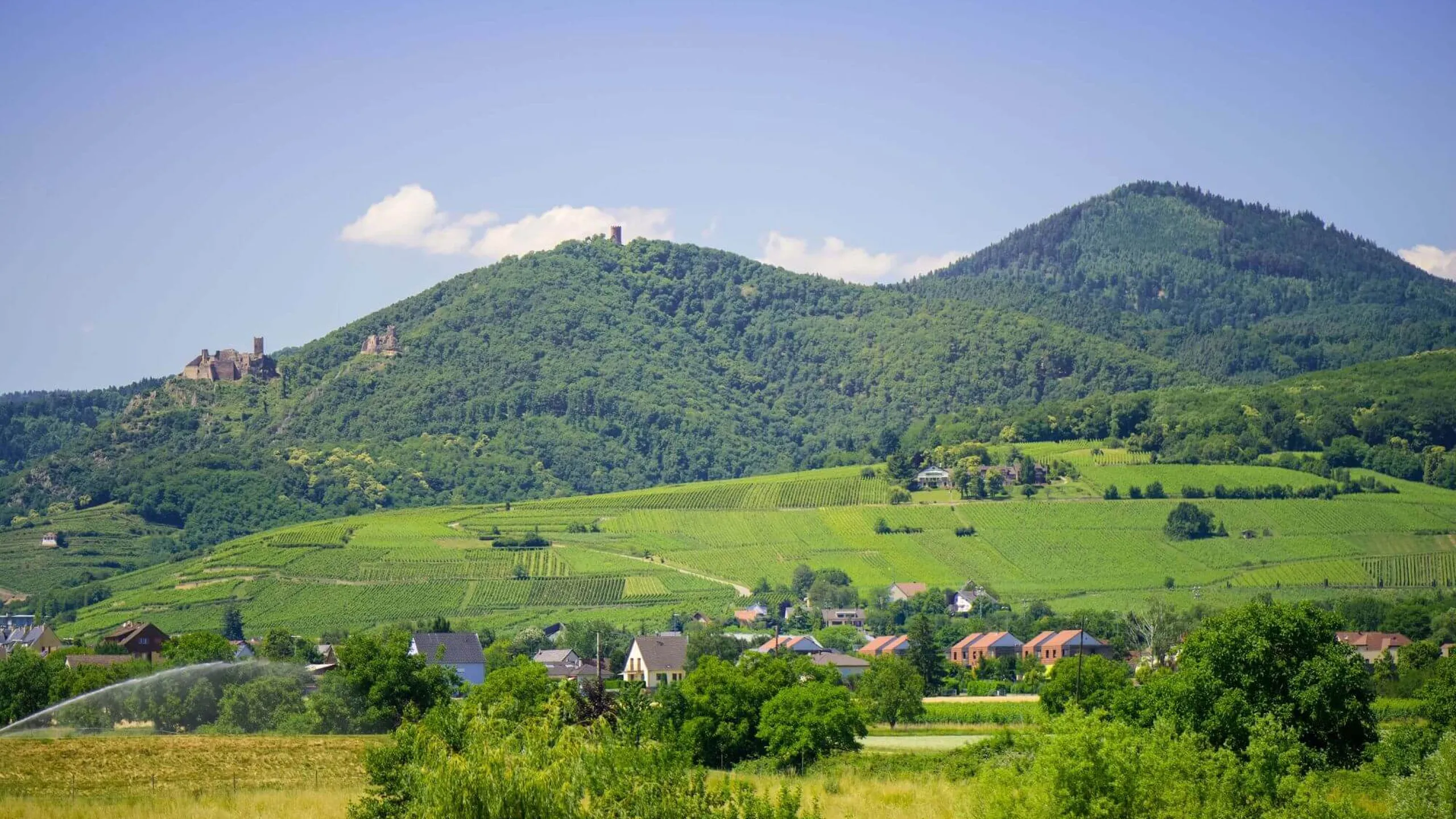 Ribeauvillé, Alsace