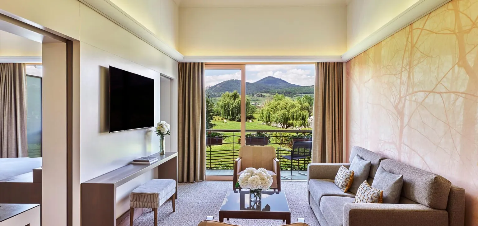 Ribeauvillé Salon avec balcon Suite vue vignoble