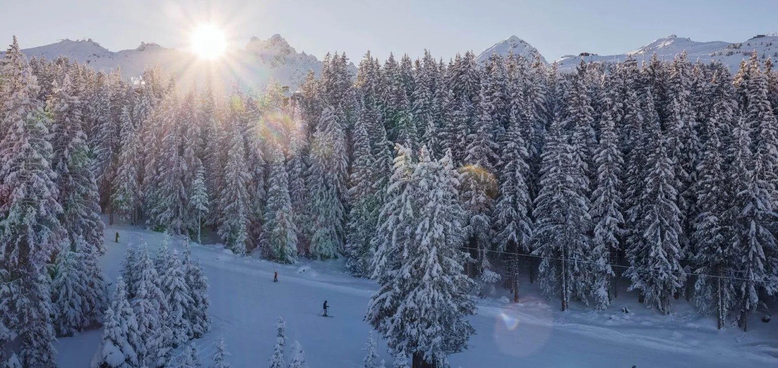Appartement Les Neiges Vue sur la forêt