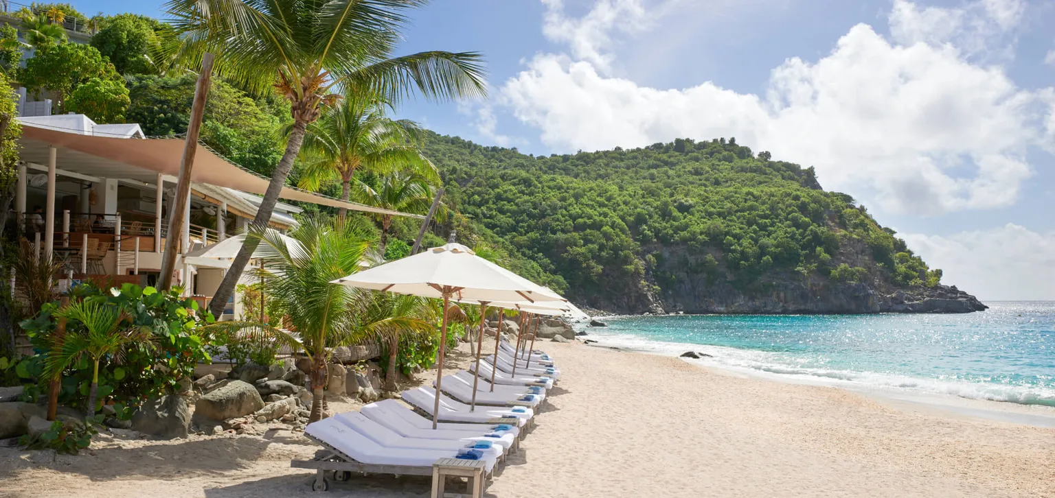 Shellona, transats au bord de mer