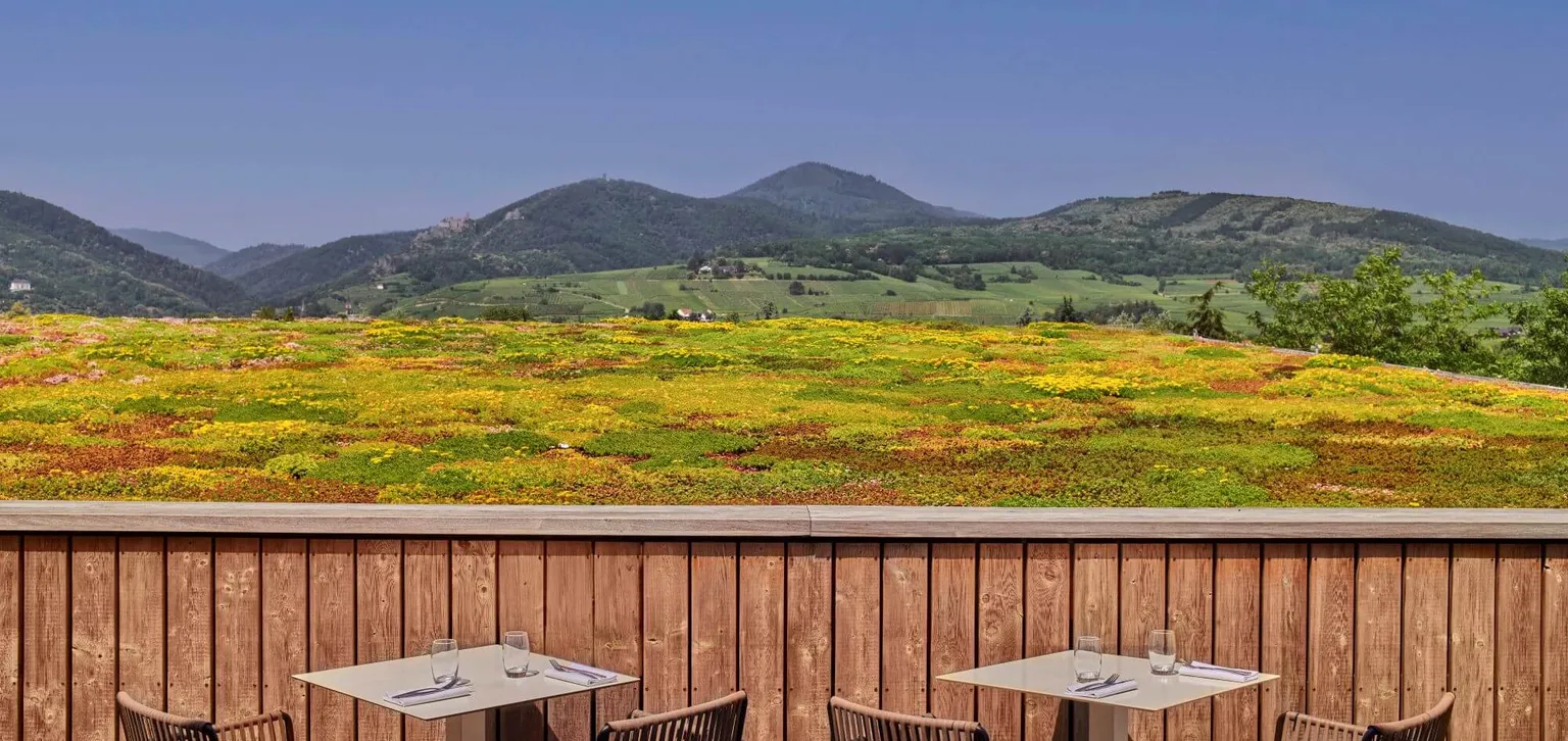 Vue de la terrasse du restaurant Le Belvédère au resort Barrière de Ribeauvillé