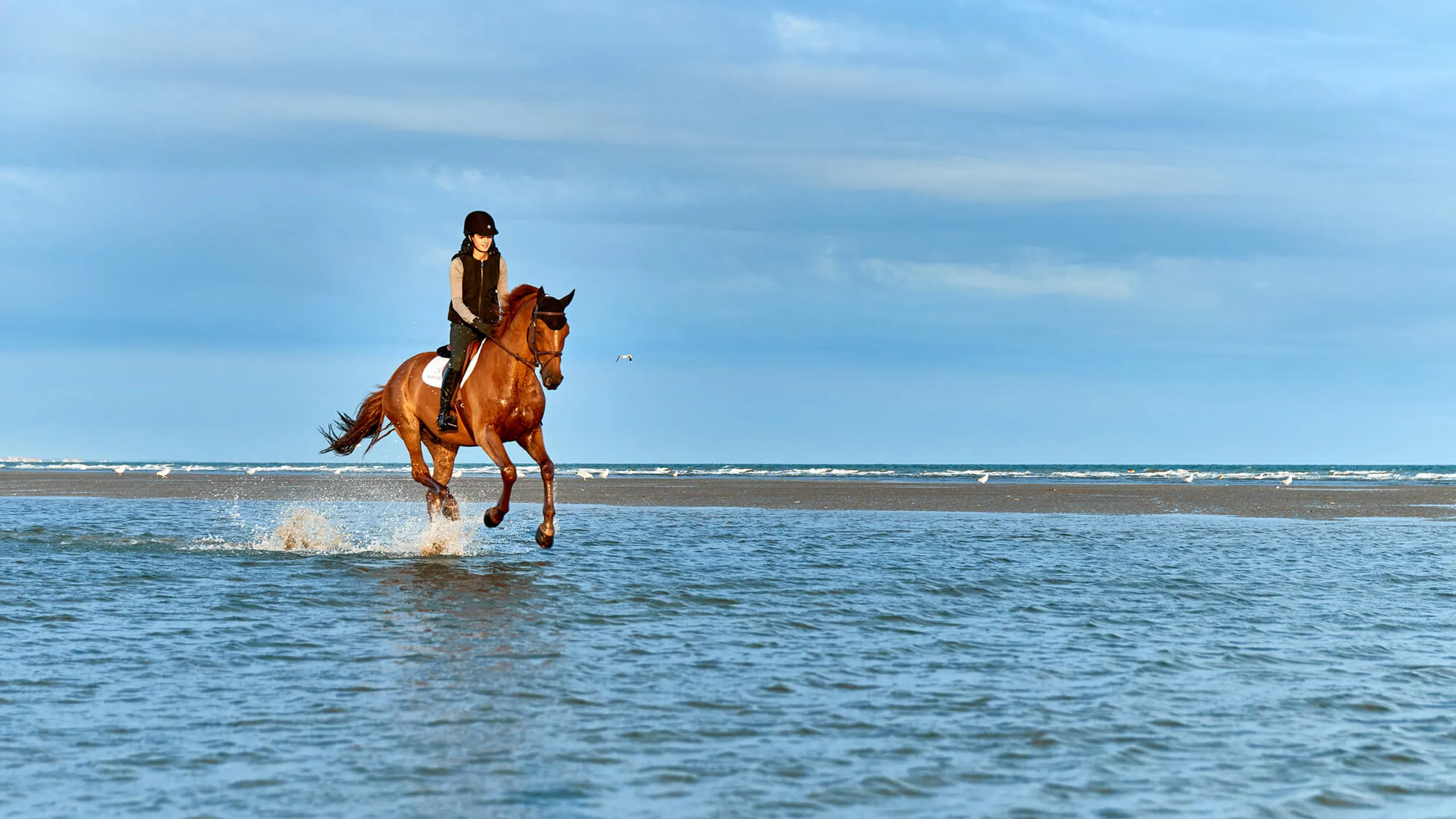 L’élégance du cheval, l’excellence Barrière