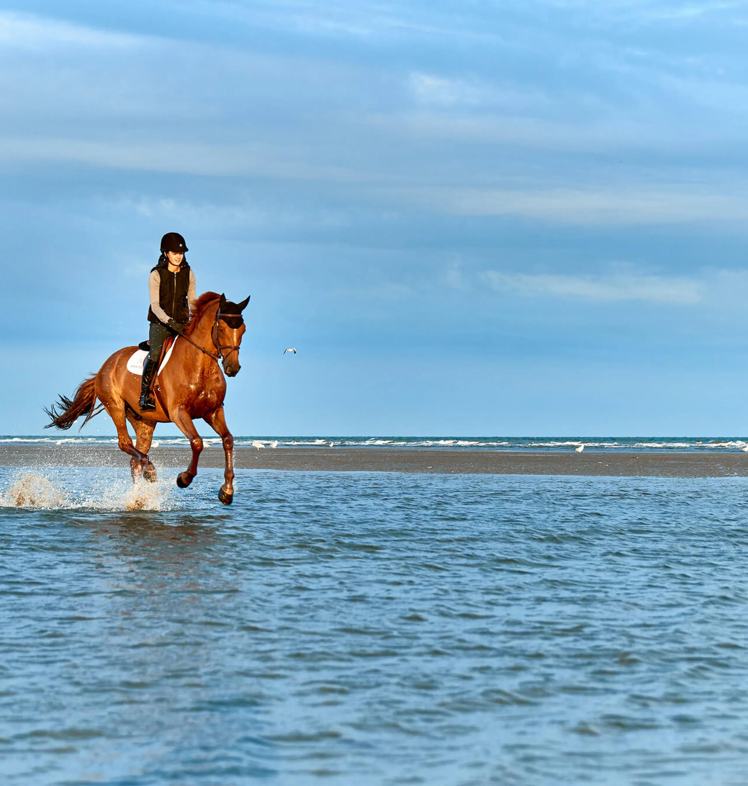 L’élégance du cheval, l’excellence Barrière
