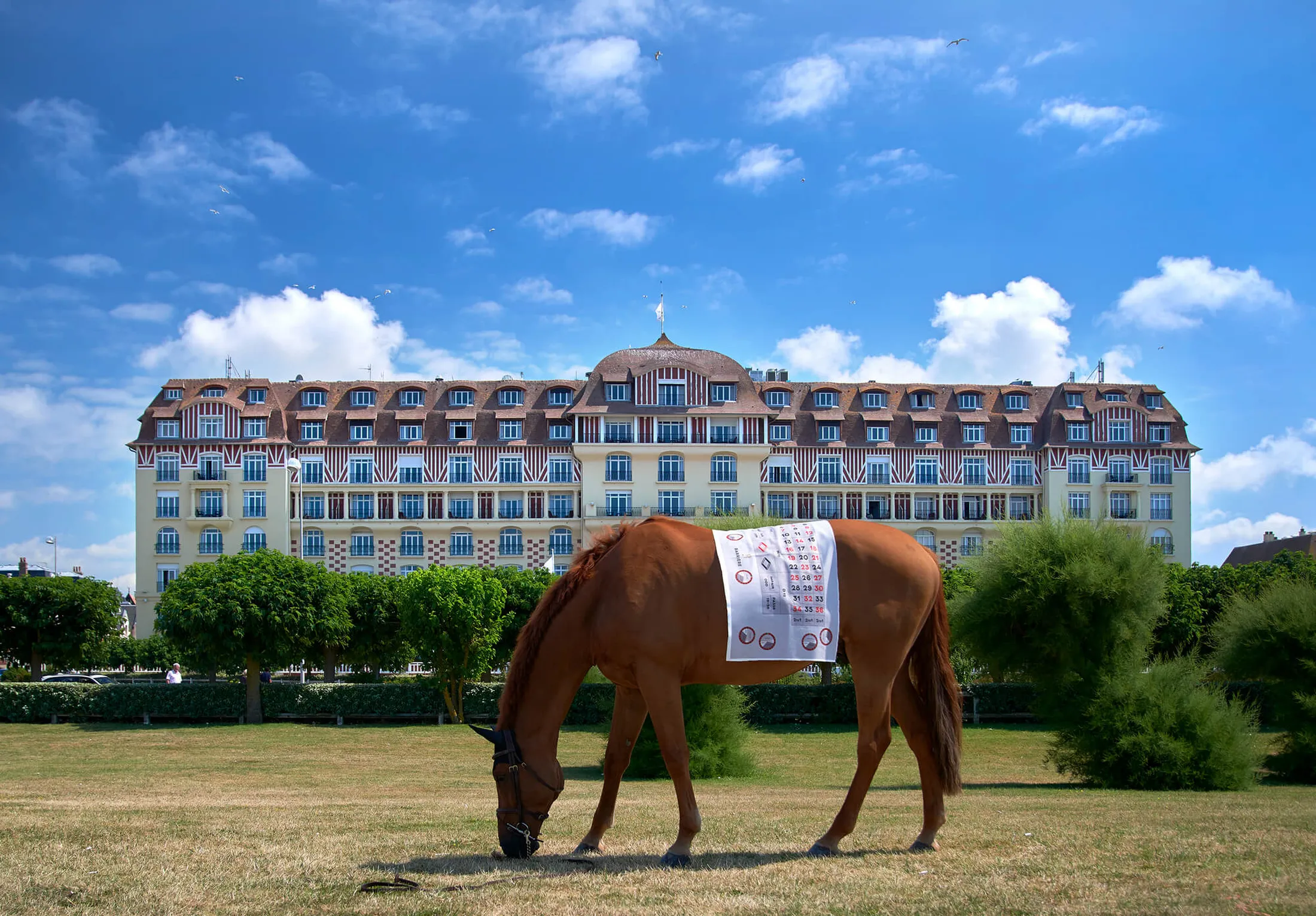 Deauville, destination hippique par excellence