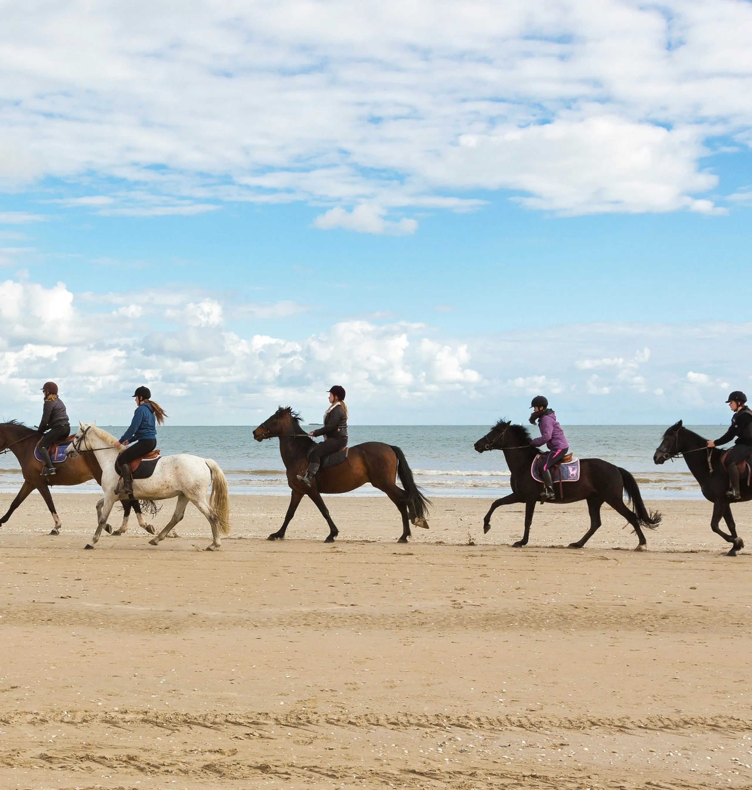 équitation cannes plage