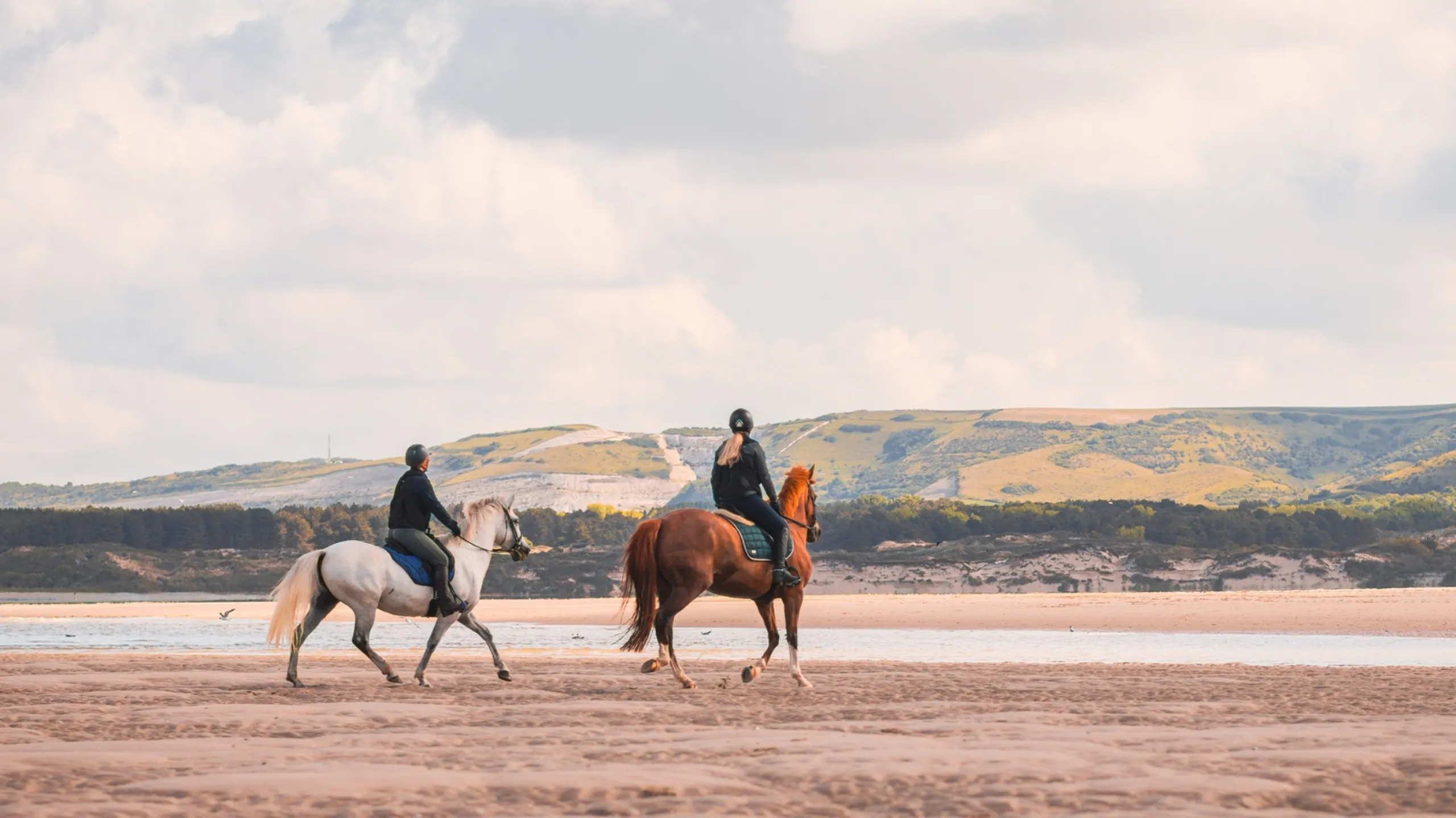 le touquet page hippisme