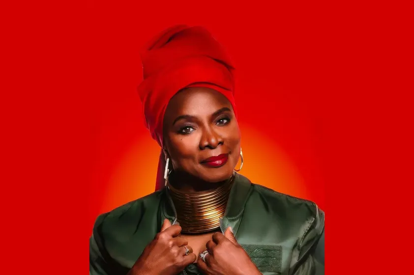 Escapade Spectacle à Lille - Angélique Kidjo