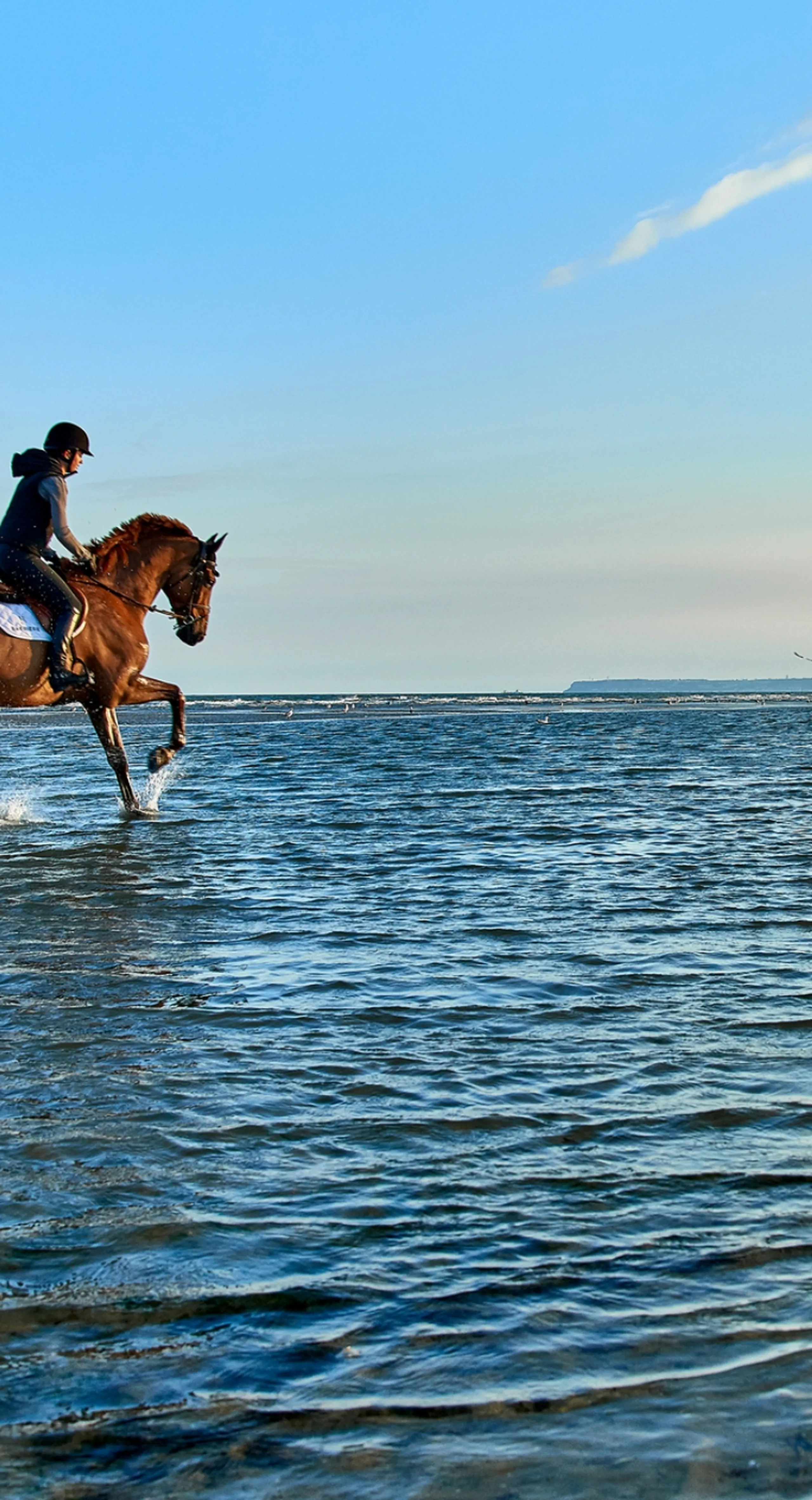 dinard equitation experience