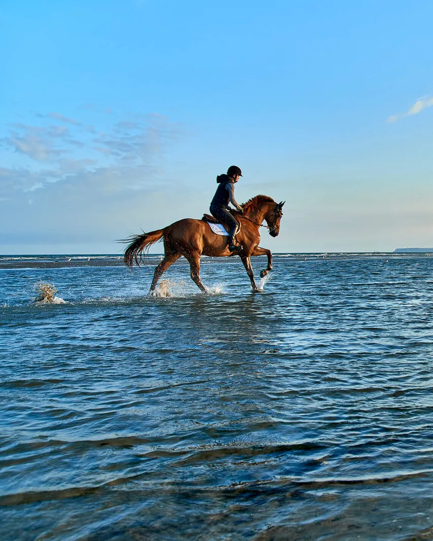 Dinard Hippisme