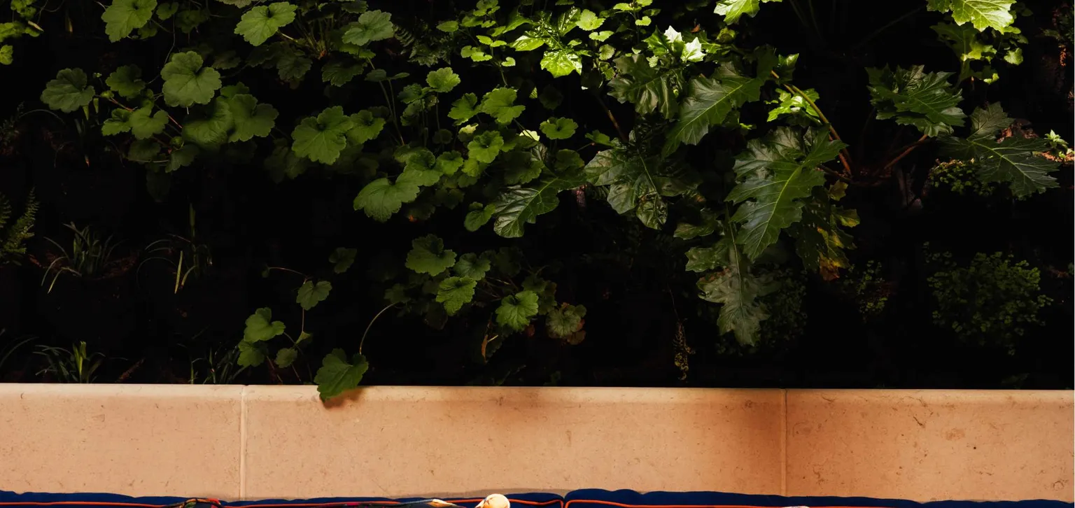 paris-mbv-frida-restaurant-terrasse-detail-coussin