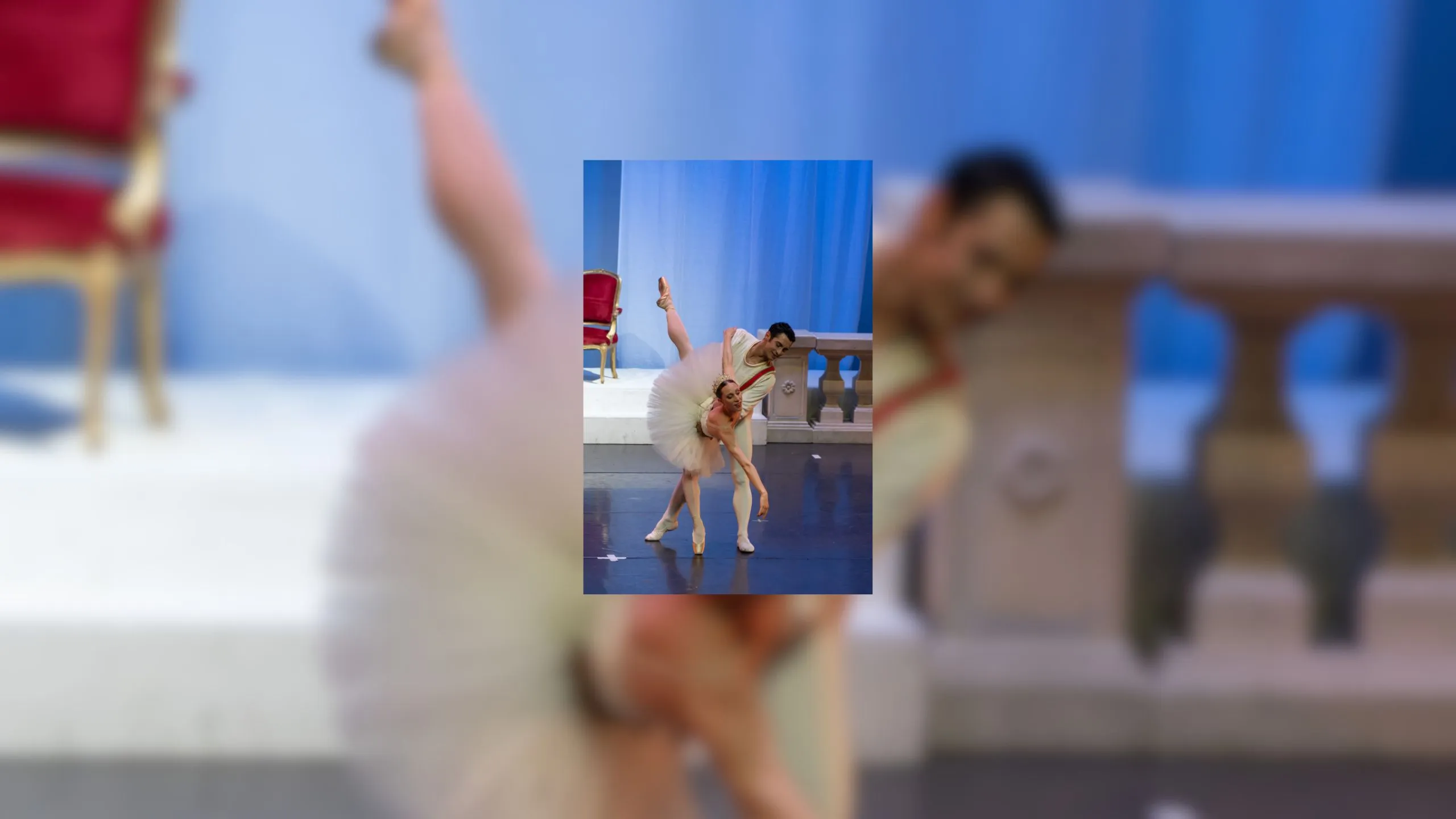 La Belle au Bois Dormant - paysage