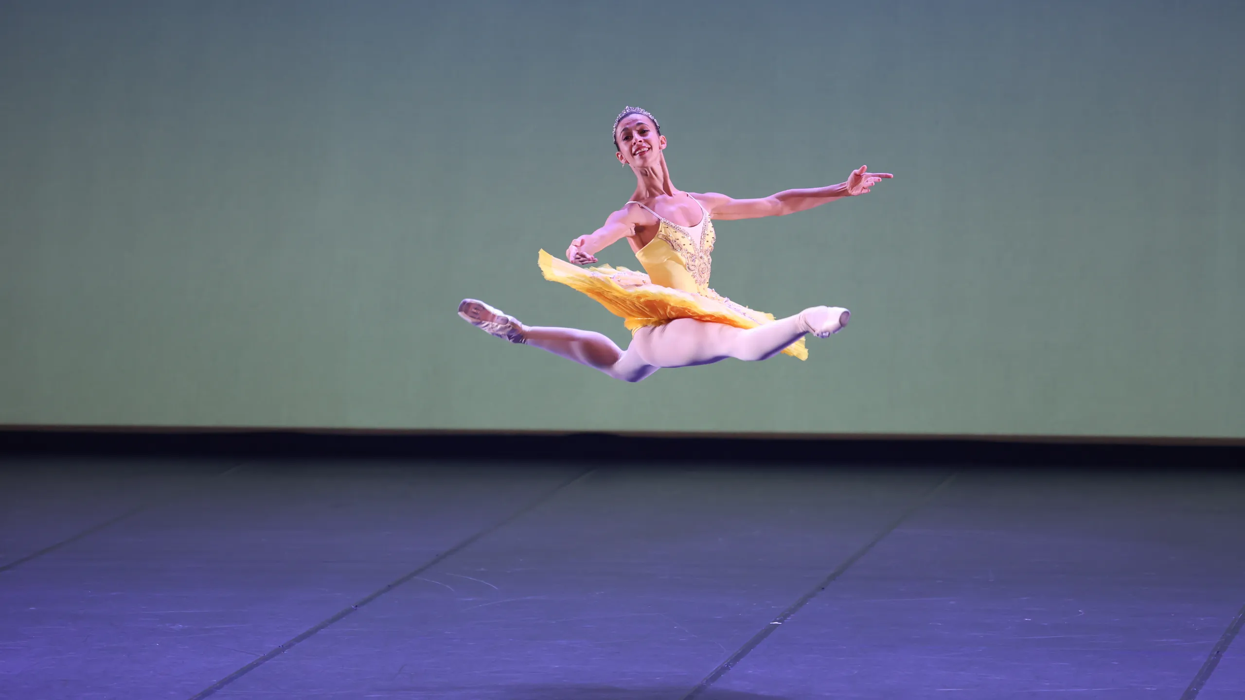 Affiche du spectacle Stars of the Ballet