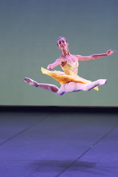 Affiche du spectacle Stars of the Ballet
