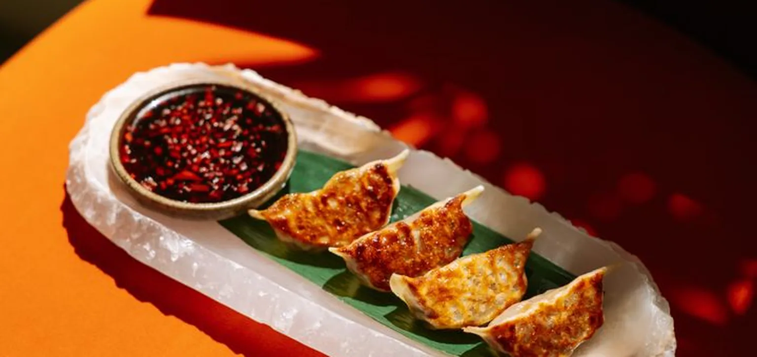 Gyoza au Bar du Majestic