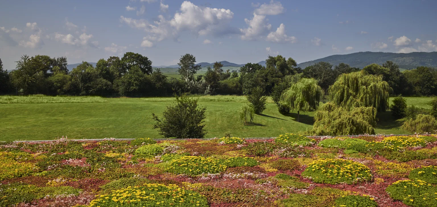 Paysage Ribeauvillé