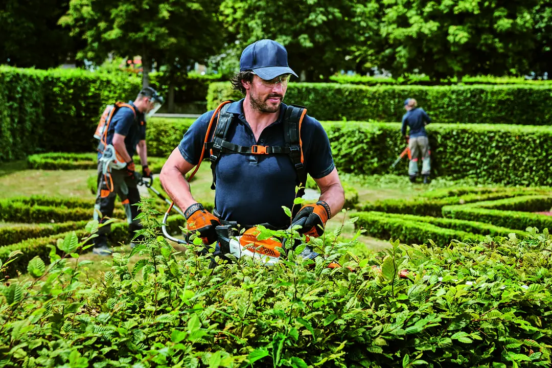 Mann schneidet mit STIHL-Heckenschere eine Hecke in gepflegtem Garten, zwei weitere Arbeiter im Hintergrund.