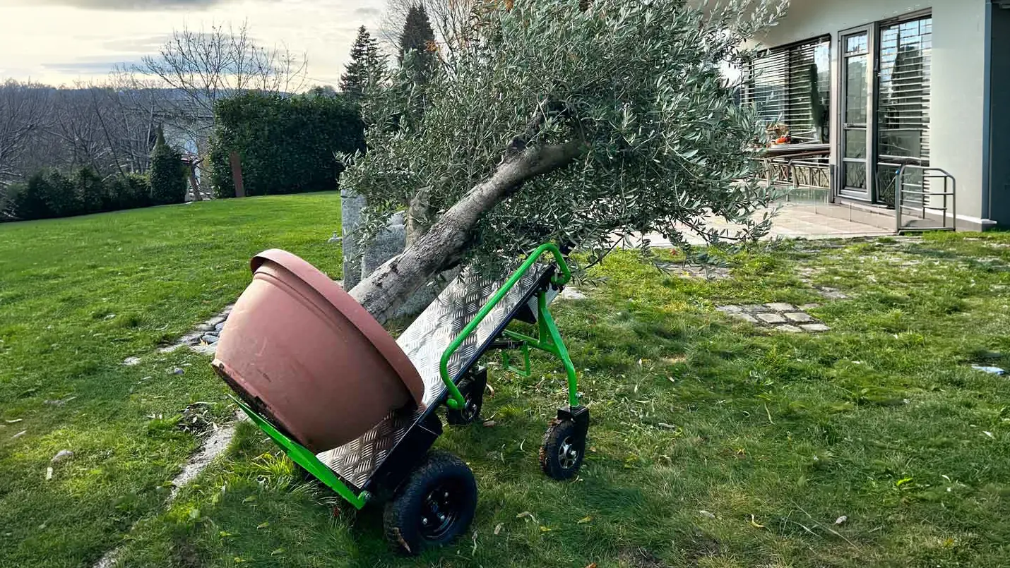 Robuste Maschinen, die professionelle Lösungen bezahlbar machen.