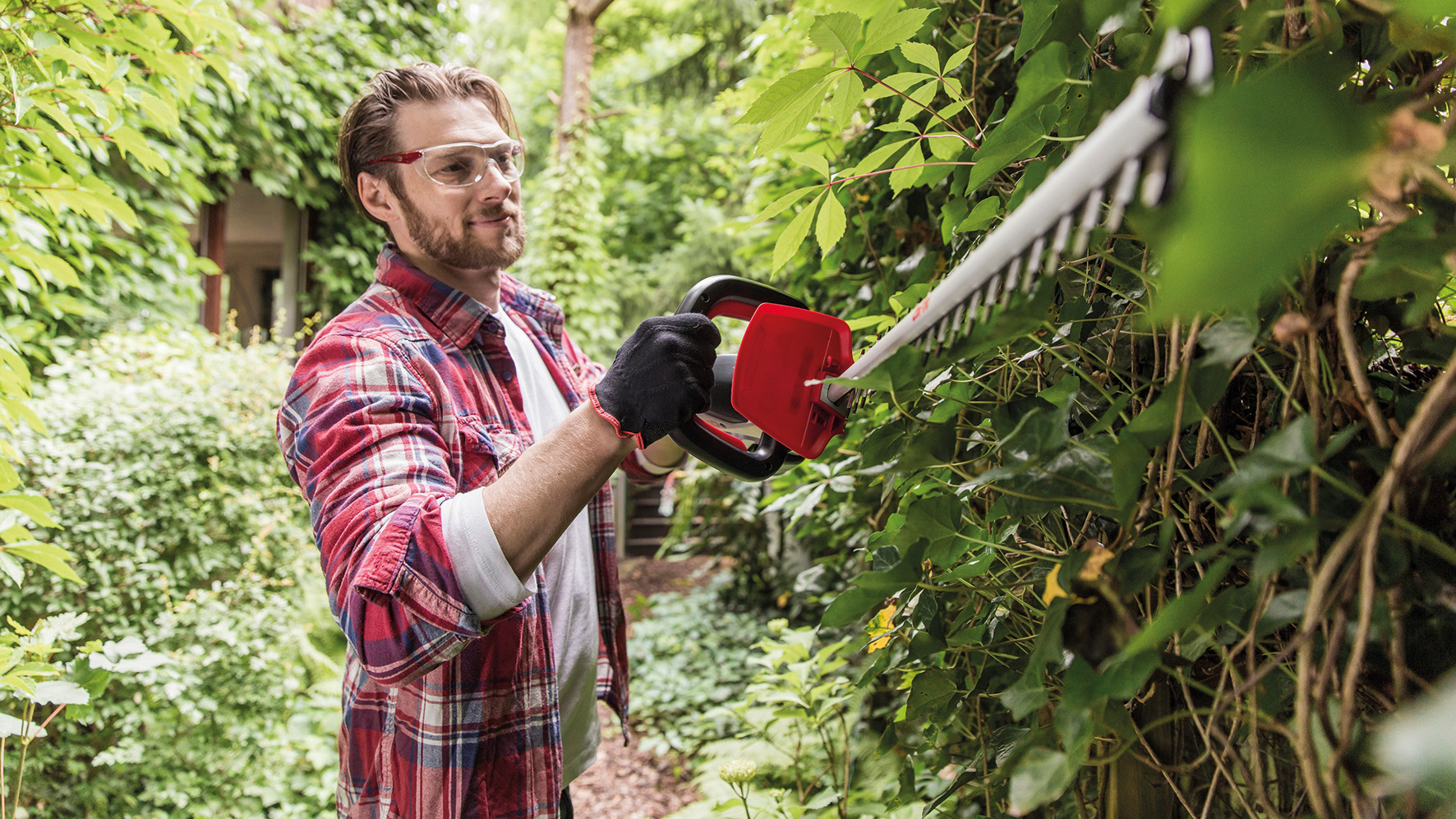 Mann mit Schutzbrille und Handschuhen schneidet Hecke mit rotem Elektro-Heckenschneider im grünen Garten.
